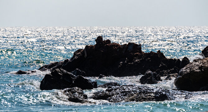 Beach and Seaside Mixed Images