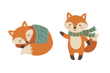 Fototapeta premium Cozy Fox Character Set Sleeping with Blanket and Wearing Scarf Scandinavian Vector Illustration