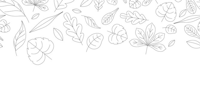Autumn leaves black and white top border. Fall foliage. Seamless upper frame with line art pattern. Flat 2D graphic with falling composition. Copy space overlay repeat. Horizontal header divider