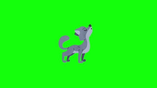 Animated 2D cartoon little wolf crawling or walking forward on four legs, looking up happily, tail wagging slightly, isolated on green screen background.