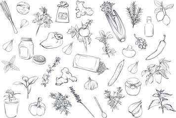 Set with vegetables spices herbs and kitchen ingredients for cooking vector © TanyaArt