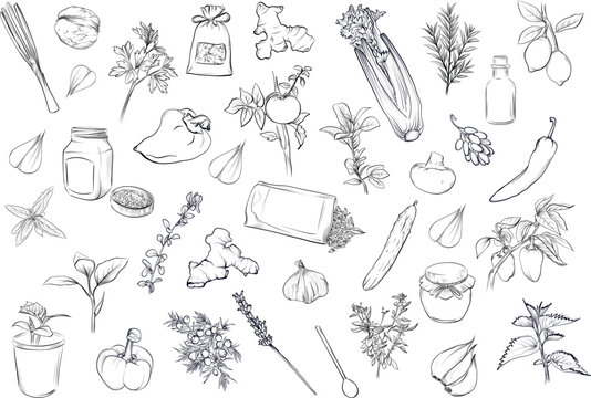 Set with vegetables spices herbs and kitchen ingredients for cooking vector