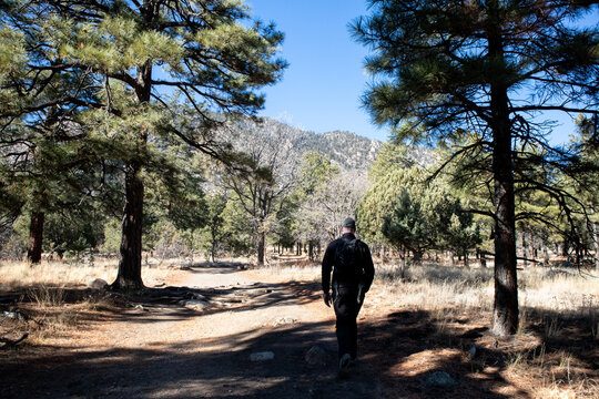 Hiker walking through sunlit hiking trail in Arizona wilderness