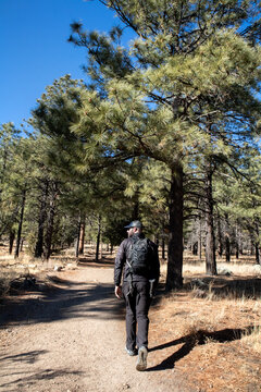 Backpacker walking along sunlit pine woodland path in nature