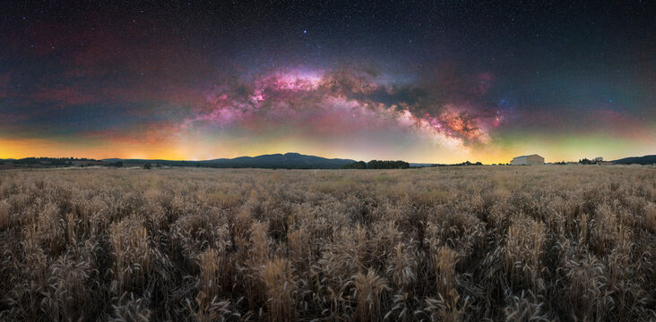 Starry Night Sky Above Golden Wheat Field, Galaxy Background