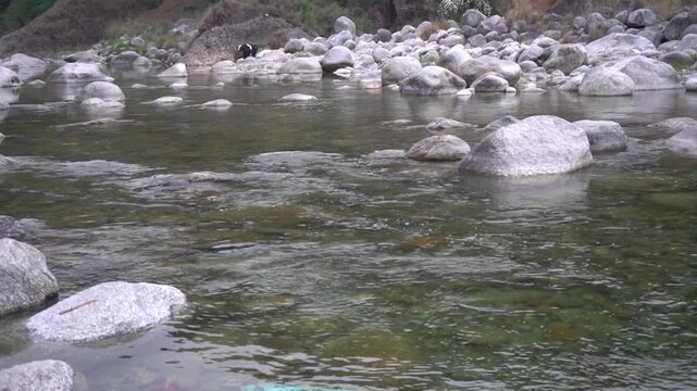 A river flow in nerrow cannel with large stone at himachal pradesh india_1 - Copy