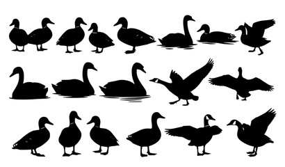 Waterbird silhouette vector collection – ducks, swans, and geese © MstBabli