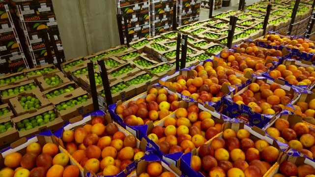 Fruit and vegetable warehouse Drone