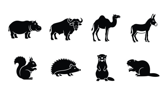 A collection of black silhouettes depicts various animals including a camel bison and squirrel in stark contrast silhouette high quality professional