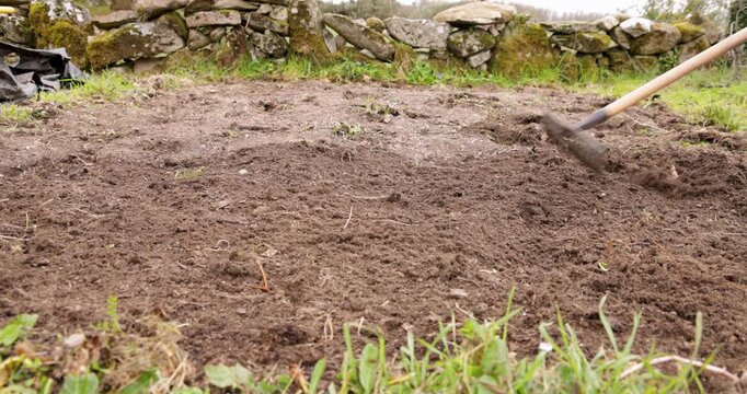 Farmer raking soil for planting garden bed