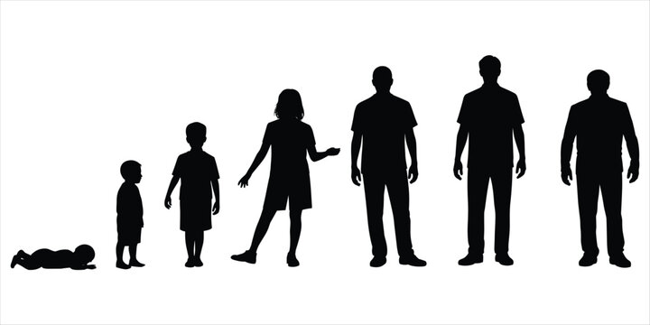 Silhouettes illustrating human growth from infancy to adulthood on a white background Keywords: silhouette, human, growth, life