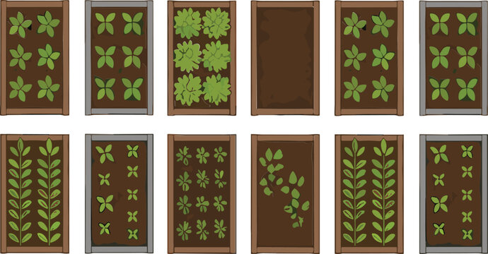 Top view garden bed collection with growing plants stages, seedlings leaves patterns, organic farming agriculture concept flat vector illustration