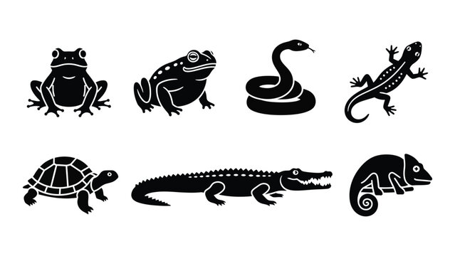 A collection of various reptile and amphibian silhouettes including a frog snake lizard turtle crocodile and chameleon silhouette high quality professional