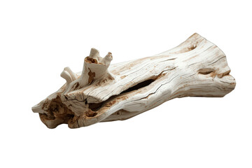Obraz premium Weathered driftwood log on transparent background embodying nature's decay, texture, and organic beauty