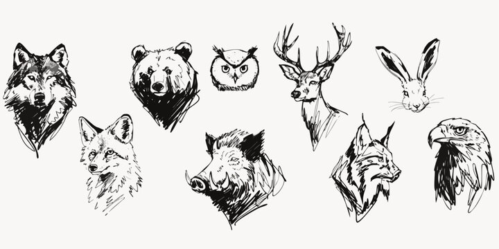 Hand Drawn Forest Animal Head Vector Illustrations Set Featuring Wolf Bear Deer Fox Owl and Eagle Ink Sketch Designs for Rustic Branding Logo and T-Shirt Print