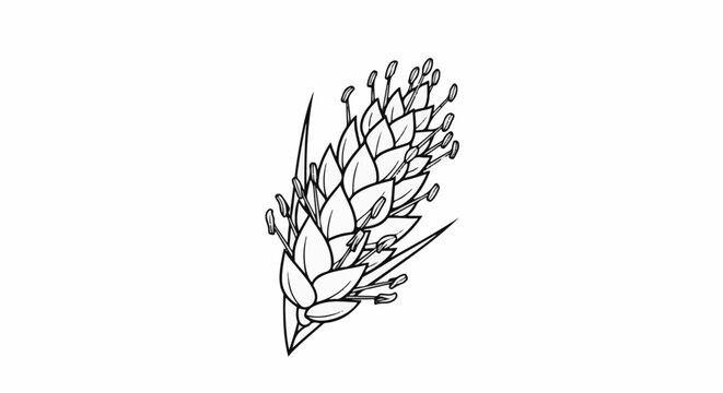 Detailed black and white drawing of a single flower spike