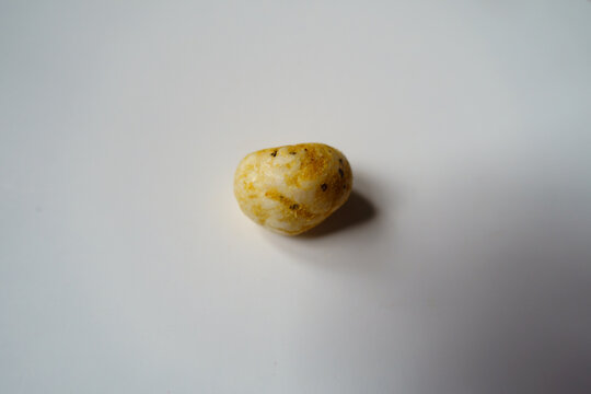 Closeup of one round Mithila Makhana popped water lily seed