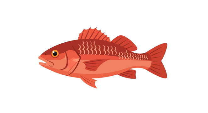 A vibrant illustration of a red snapper fish swimming in clear water, showcasing its scales and fins.