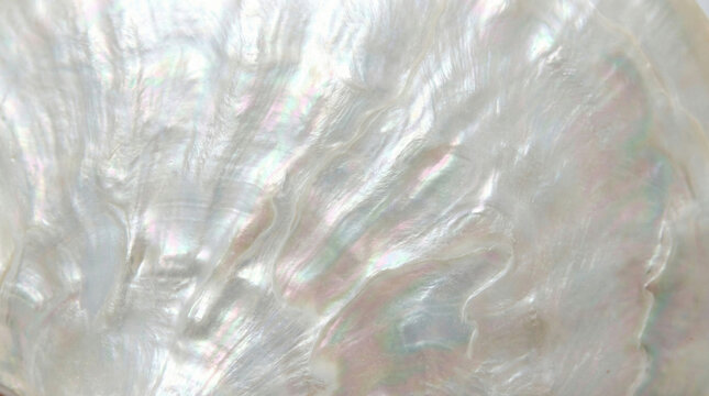 Mother of pearl texture background with iridescent glow