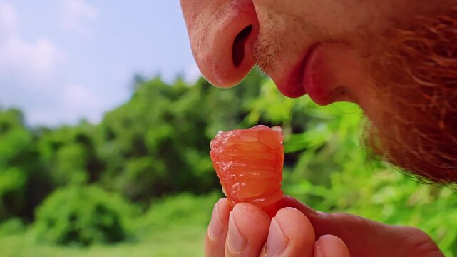 Extreme Close Up of Man Lips and Beard Eating Juicy Red Pomelo Segment with Detailed Texture and Natural Light, Fresh Citrus Consumption