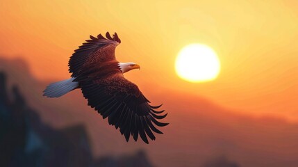 Obraz premium Soaring bald eagle against sunset sky symbolizing freedom and strength