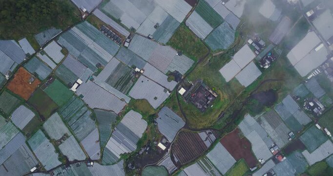 Aerial view of the neatly organized farmlands, a patchwork of green and grey, partially veiled by a soft haze, Kintamani, Bali, Indonesia.