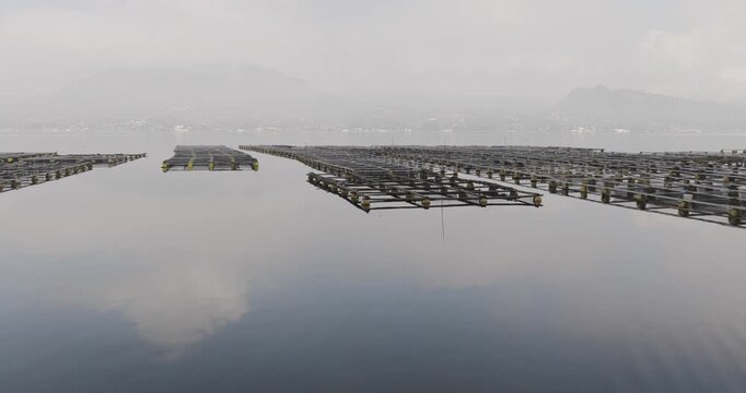 Aerial view of fish farms with a grid-like pattern create a striking contrast against the tranquil waters, Terunyan, Bali, Indonesia.