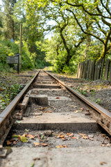 Obraz premium Close perspective of worn rail line surrounded by trees and foliage in quiet countryside