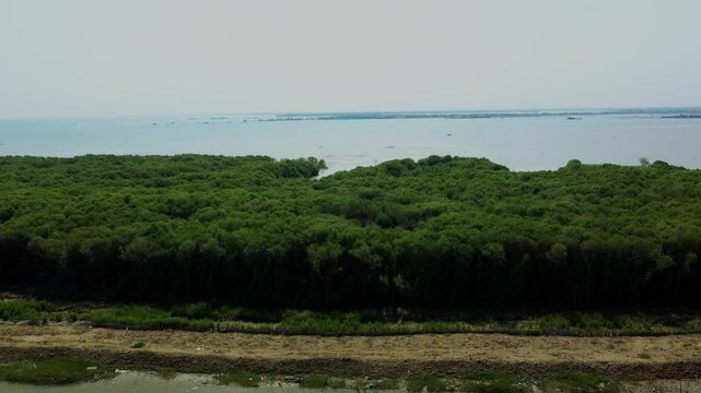 Aerial view of a vibrant forest meets the serene ocean under a pale sky, creating a striking contrast of green and blue hues, Semarang, Indonesia.
