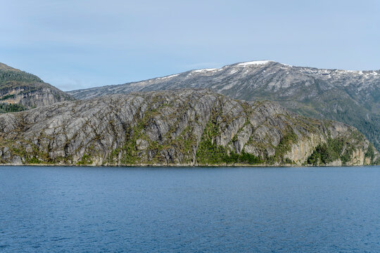 Lenga trees clinging on rocky steep shore of Beagle channel, Chile
