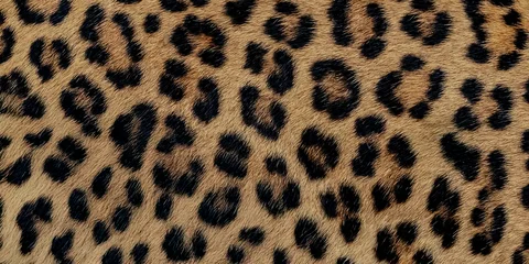 Detailed close up of wild leopard skin texture featuring a natural animal fur pattern with brown spots for wildlife safari fabric design and camouflage textile wallpaper © Smart-Art