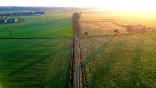 Cinematic Aerial Drone Footage Rising Over a Rural Path in Belgian Farmland During a Golden Sunrise