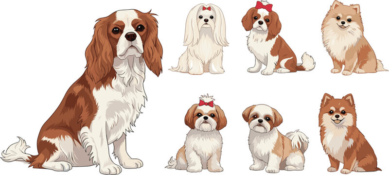 Set of 7 Illustrations of Small Dog Breeds: Cavalier King Charles Spaniel, Shih Tzu, and Pomeranian, Vector Art