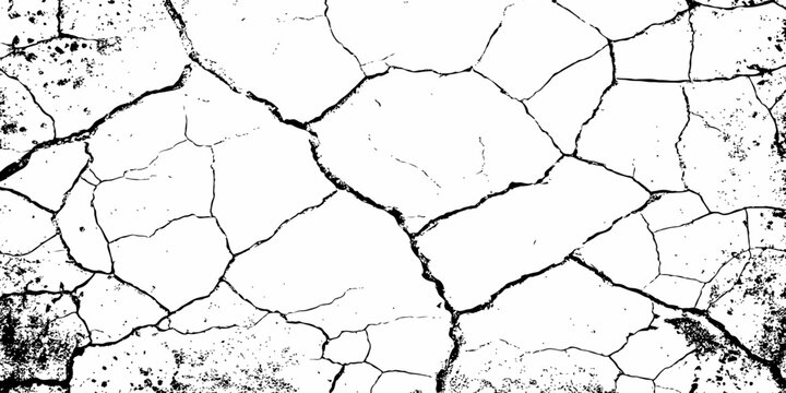 Organic cracked earth texture with natural fracture lines in bold monochrome, ideal for geological themes, decay concepts, or rustic background elements.	