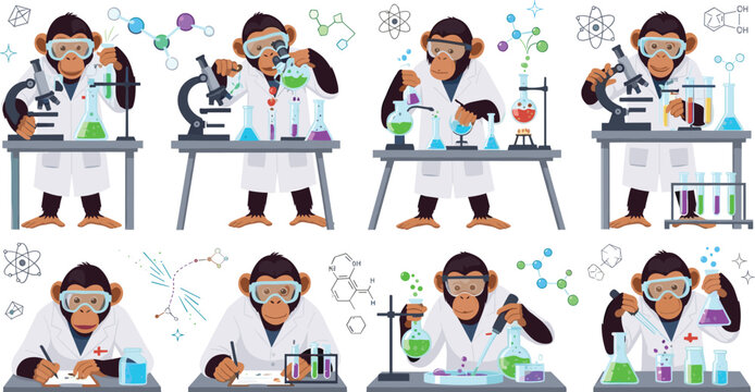 Monkey Scientist Cartoon Set with Laboratory Experiments, Chemistry Equipment, Research Activities, Science Education Theme, and Funny Animal Vector Illustration Collection.