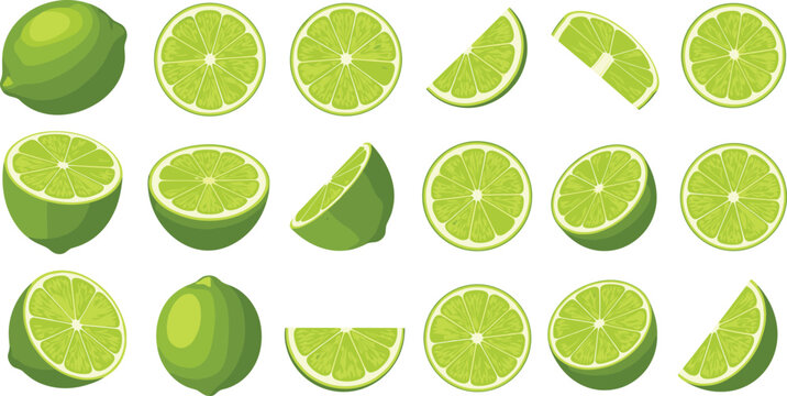 Lime Fruit Vector Set with Various Whole, Sliced, and Wedge Illustrations Featuring Bright Green Color for Digital Media, Culinary Designs, and Websites