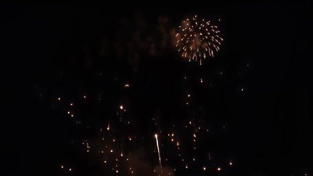 Spectacular colorful fireworks exploding against a dark night sky