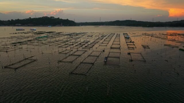 Aerial view of the grid-like fishing structures reflecting the warm tones of the sunset across the water at Rowo Jombor, Klaten Regency, Jawa Tengah, Indonesia.