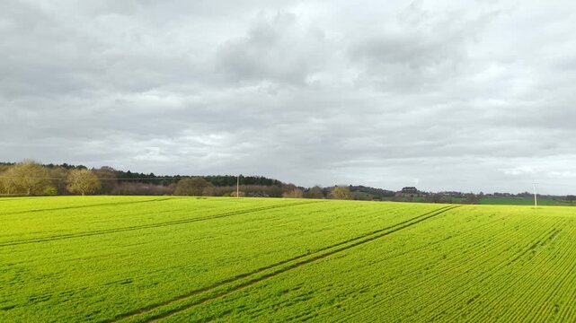 Lush green wheat field covering rolling hills with parallel crop lines under heavy grey sky. Rural farmland with distant village and hedgerows creating layered countryside view. Agriculture agronomy