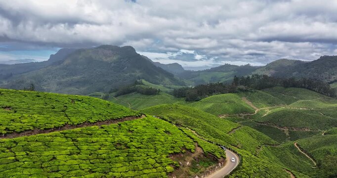  Circling  drone shotsof Tea Plantation hills in Munnar, Kerala, India. Cinemati Aerial View of Munnar. Aerial view of a tea plantation in Munnar. The beautiful Western Ghats mountain range in Kerala