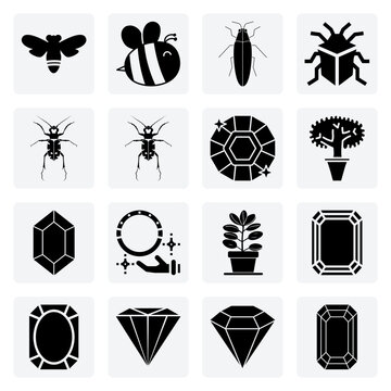Macro Insect Life &ndash; Detailed Illustrations Of Beetles, Bees, And Bugs For Scientific And Educational Use