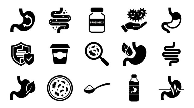 Set of black probiotic and gut health icons featuring stomach, intestine, bacteria and yogurt on white background, concept for medical design, healthcare education and digestive marketing