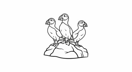 Obraz premium Three puffins perched on a rocky outcrop, black and white line drawing