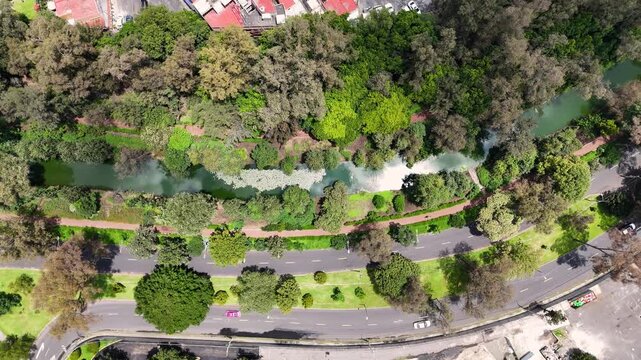 Vertical shot of antique river in mexico city