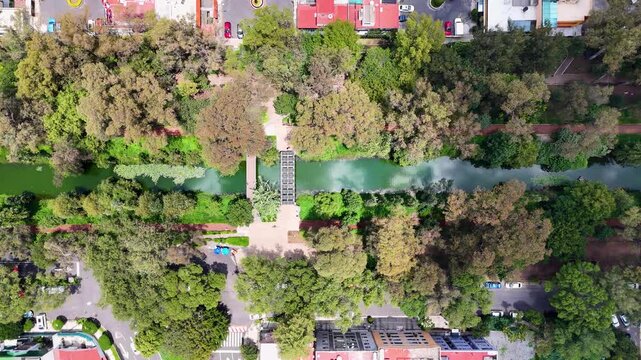 Vertical shot of historical river in mexico city south