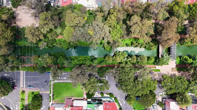 Vertical shot of historical river in mexico city