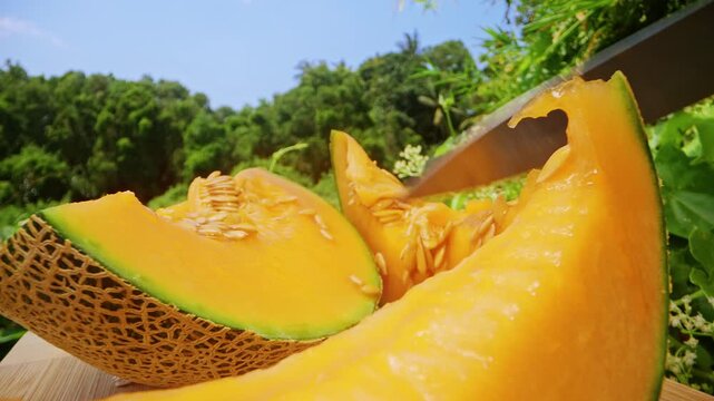 Dolly Slider Close Up Shot of Cleaning Cantaloupe Melon Seeds with Knife Showing Detailed Texture of Orange Flesh in Bright Tropical Environment, Healthy Eating Process