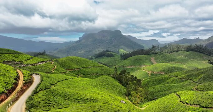 Forward fly Aerial view of Tea Plantation hill in Munnar, Kerala, India. Cinemati Aerial View of Munnar. Aerial view of a tea plantation in Munnar. The beautiful Western Ghats mountain range in Kerala