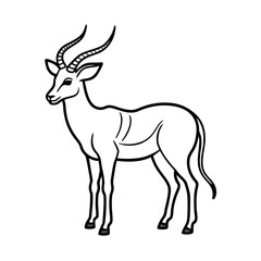 Fototapeta premium Elegant gazelle standing profile black line drawing isolated on white background vector illustration