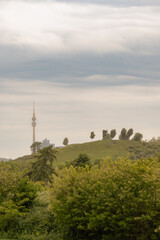 Obraz premium Urban meets nature in Dortmund, Germany, featuring TV tower above treetops and grassy hill with scattered trees under cloudy sky.